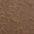 Astrum brown